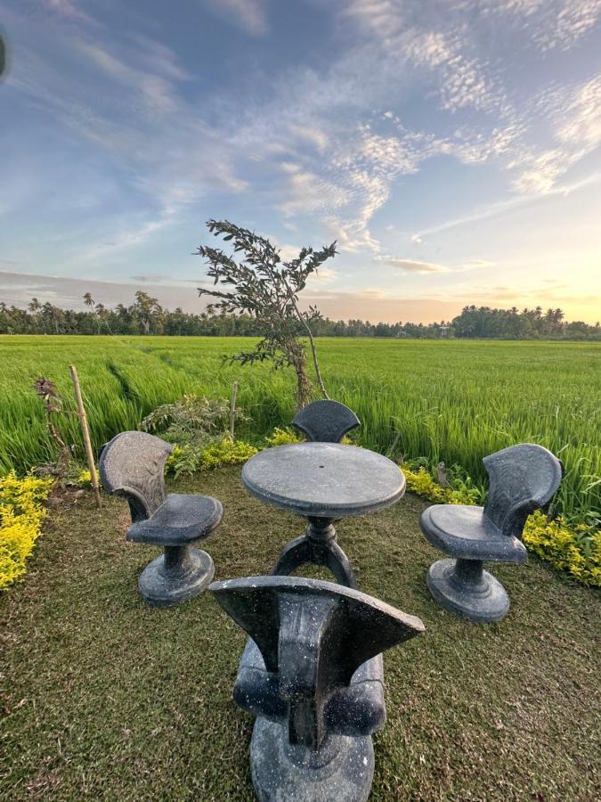 Viveka Inn Guest And Yala Safari Тіссамахарама Екстер'єр фото
